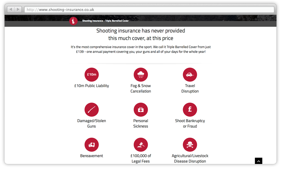 Shooting Insurance — archived project view